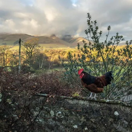 Low Branthwaites * Sedbergh